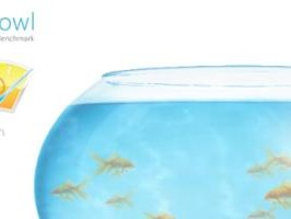 fishbowl鱼缸测试网址入口-fishbowl鱼缸测使用教程